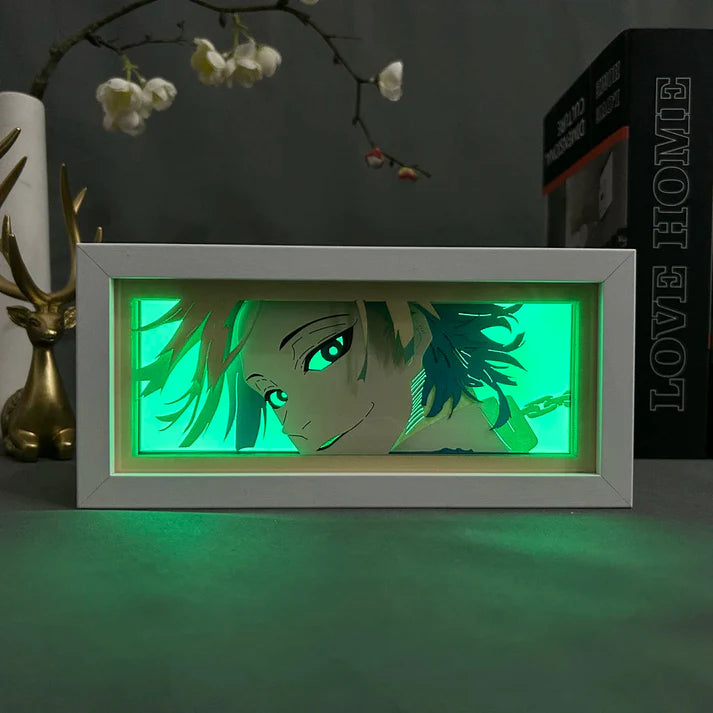 Kaiser light box